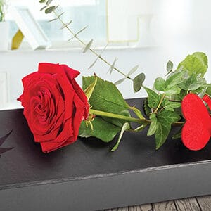 Image of All of Me, a single red rose from Oasis Flowers, Bromsgrove Florist